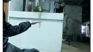 kejadian begitu cepat der
