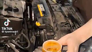 Watch Till End