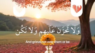???? “Qur’an | Light of Guidance”