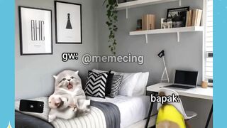 siapa yg pernah gini???? 2