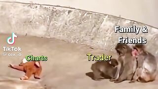 Best Cryptocurrency Recovery Experts Recovering Funds From Investment Platform Scams Autopsy Mainnet Recovery