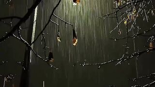 Sad Song 22