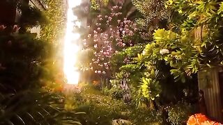 Fantasy 3