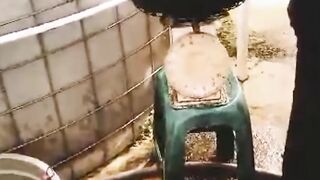 Auto DICURANGI tengkulak jika tidak punya ALAT ini