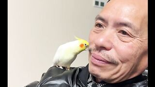Dengarkan suara burung ini, dia menggoda pemiliknya