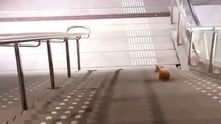 If you have a dog, you know just how good this feeling is