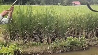 Fishing women