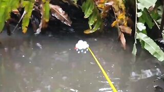 Spot fishing when it rains