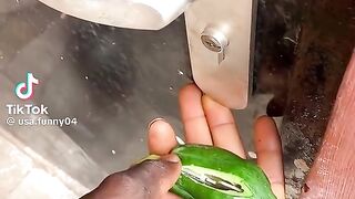 You can find the key