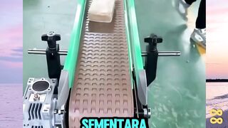 Efek Yang Terlihat Lambat Namun Aslinya Sangat Cepat! versi bola88