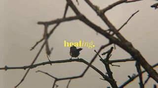 healing 4