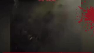 Terekam Tanpa Sengaja! Sosok Misterius di Pohon Bikin Merinding!