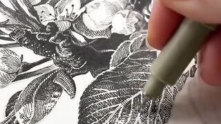 Art in Motion