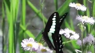 মা ছেলের গভীর রাতের মজাদার ঘটনা /Funny late night stories of mother and son