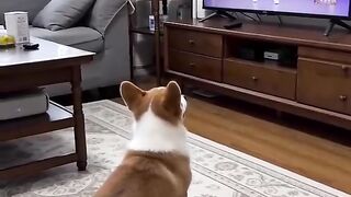 Funny Seen 8