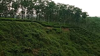 The nature beauty 2