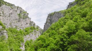 4K resolution - forest among rock formations | Trending HD Video