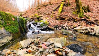 4K Computer Monitor - water flowing in cascade on stream | Trending HD Video