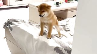 If you have a dog, you know just how good this feeling is 2