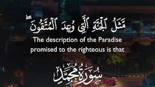Tilawat e Quran Majeed 60