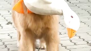 He was waiting for you! 2