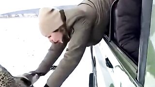 Woman Saves Leopard From Lions #leopard #lion #rescue