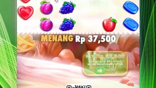 MANISNYA BONANZA