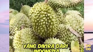 3 Buah Buahan yang dikira dari Indonesia! nomer 3 pasti pernah kalian makan! versi bola88
