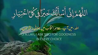 Quran paak Tilawat 19