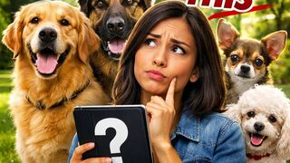 Choosing a Dog Breed? Watch This First