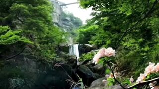 Beautiful nature 292