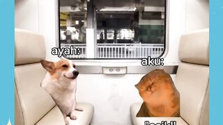 pergi bareng ayah seseru itu????