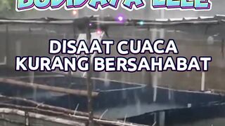 TIPS budidaya lele disat CUACA kurang bersahabat