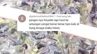 Yang gak percaya FCR 1:1 bahkan 0,8 TONTON video ini