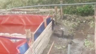 Cara SETTING Drainase kolam❗ilmu GRATIS buat kalian