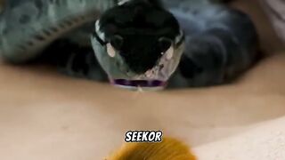 "Mustahil tapi Nyata: Persahabatan Unik Ular dan Hamster"