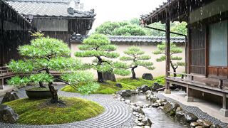 Soothing Japanese Zen Garden Rain Ambience for Deep Sleep, Relaxation, and Peaceful Mind Escape