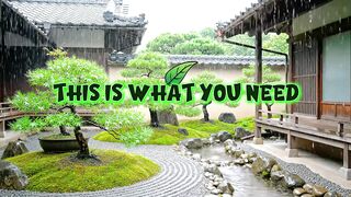 ???? 99% Fall Asleep Fast with This Peaceful Japanese Rain Sound