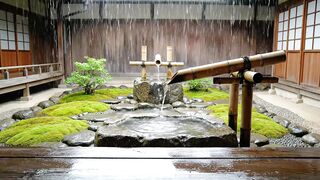 Stillness Flowing in the Rain ????️