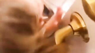 help me with my hair