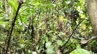 Berburu secukupnya, ambil yang perlu. Alam bukan supermarket.