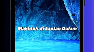 Dari Gelapnya Laut, Muncul yang Paling Indah ???????? #ocean  #radex