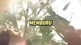 KENAPA TIBA TIBA BERBALIK MEMBURU  #transfomers #mcu #xybca #marvel #fyp