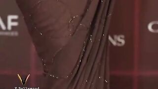 Beautiful Brown Sari