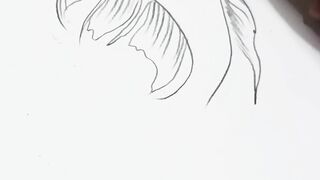 TimeLapse Drawing Golden Fish