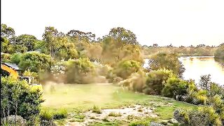 From Empty Land to Dream Home in Seconds #timelapse #dreamhome #construction