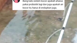 Terapkan system KOCOR dijamin TEBAR PADAT