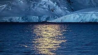 Mr beast exploring Antartica