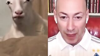 один в один????????????