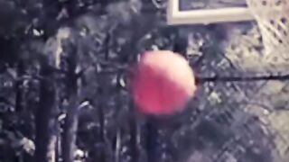 Never seen before ????????????